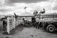 Sonoita Labor Day Rodeo 2026 B&W-4