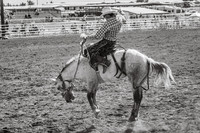 Sonoita Labor Day Rodeo 2026 B&W-18