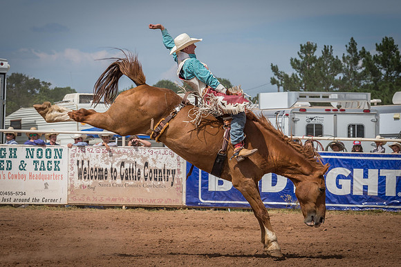 Rodeo pics for website-5